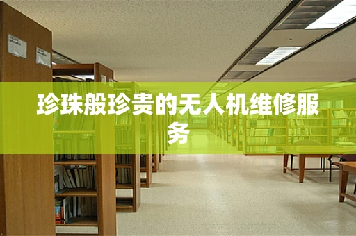 珍珠般珍贵的无人机维修服务