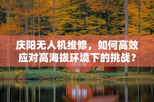 庆阳无人机维修，如何高效应对高海拔环境下的挑战？