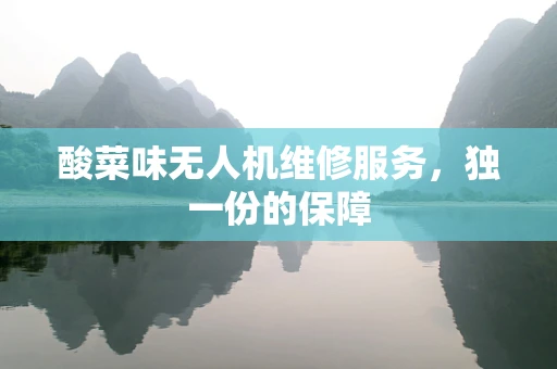 酸菜味无人机维修服务，独一份的保障