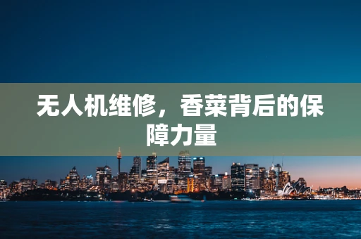 无人机维修，香菜背后的保障力量