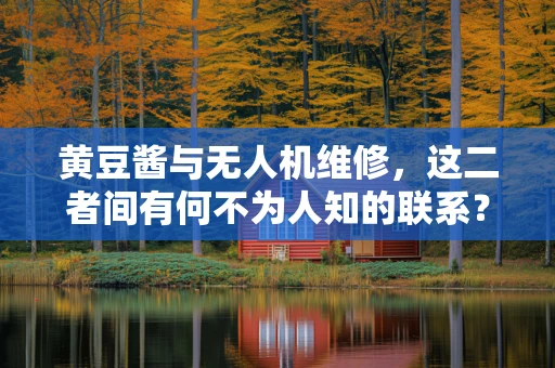 黄豆酱与无人机维修，这二者间有何不为人知的联系？