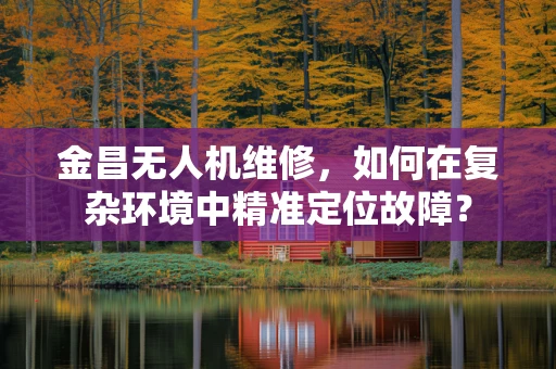 金昌无人机维修，如何在复杂环境中精准定位故障？