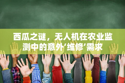 西瓜之谜，无人机在农业监测中的意外‘维修’需求