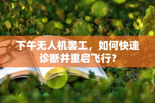 下午无人机罢工，如何快速诊断并重启飞行？
