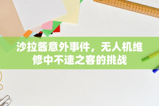 沙拉酱意外事件，无人机维修中不速之客的挑战