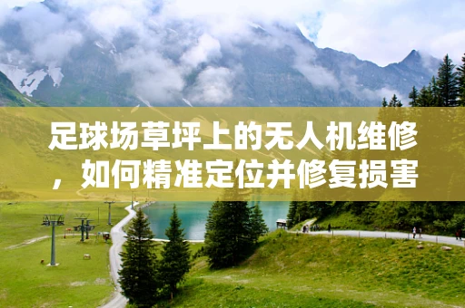 足球场草坪上的无人机维修，如何精准定位并修复损害？