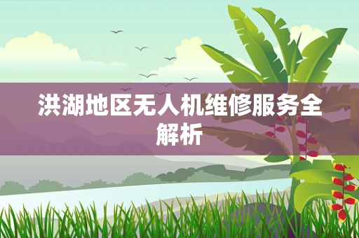 洪湖地区无人机维修服务全解析