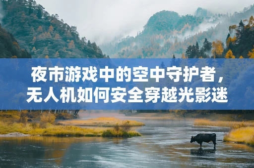 夜市游戏中的空中守护者，无人机如何安全穿越光影迷阵？