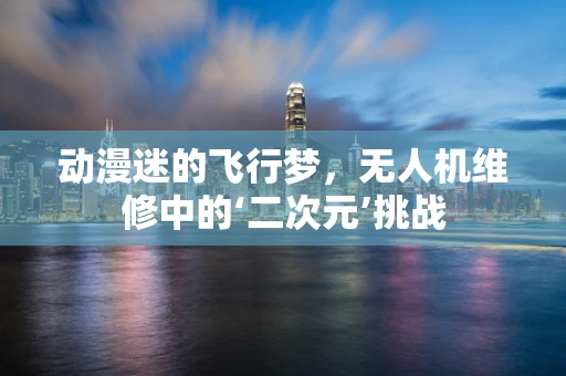动漫迷的飞行梦，无人机维修中的‘二次元’挑战