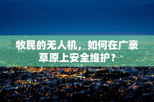 牧民的无人机，如何在广袤草原上安全维护？