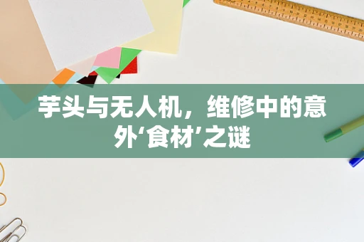 芋头与无人机，维修中的意外‘食材’之谜