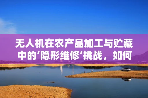 无人机在农产品加工与贮藏中的‘隐形维修’挑战，如何确保精准监控与高效作业？