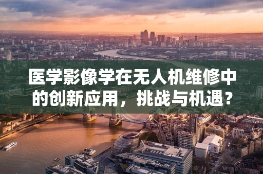 医学影像学在无人机维修中的创新应用，挑战与机遇？