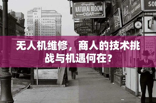 无人机维修，商人的技术挑战与机遇何在？