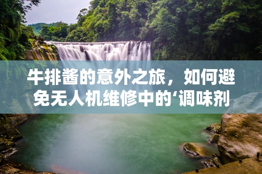 牛排酱的意外之旅，如何避免无人机维修中的‘调味剂’灾难？