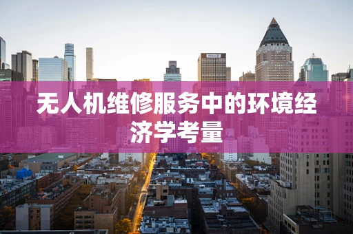 无人机维修服务中的环境经济学考量