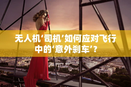 无人机‘司机’如何应对飞行中的‘意外刹车’？