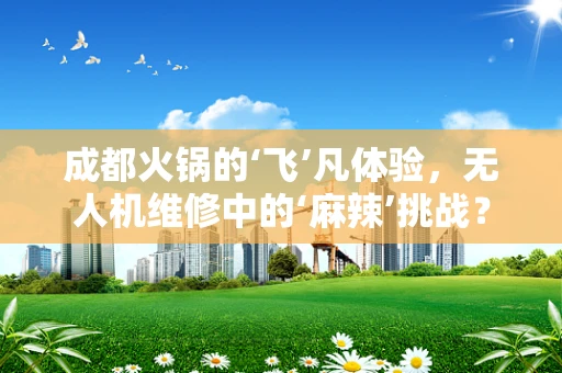 成都火锅的‘飞’凡体验，无人机维修中的‘麻辣’挑战？