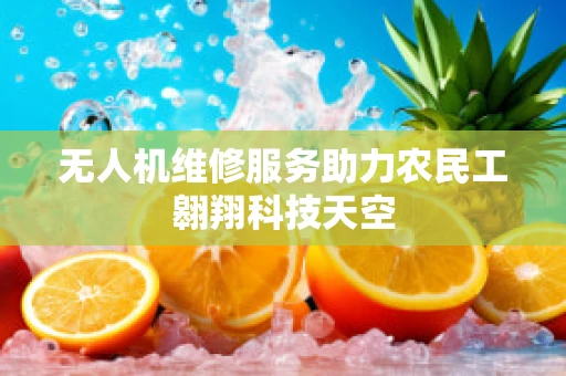 无人机维修服务助力农民工翱翔科技天空