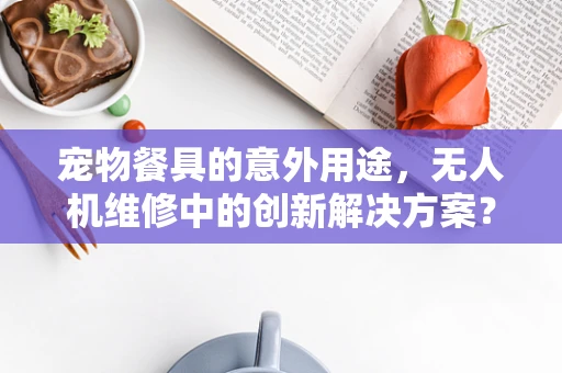 宠物餐具的意外用途，无人机维修中的创新解决方案？