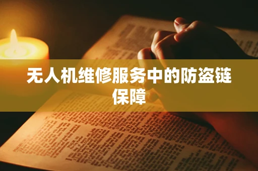 无人机维修服务中的防盗链保障