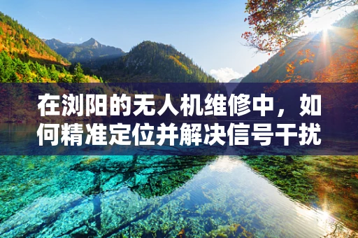 在浏阳的无人机维修中，如何精准定位并解决信号干扰问题？