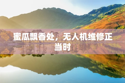 蜜瓜飘香处，无人机维修正当时