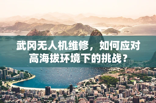 武冈无人机维修，如何应对高海拔环境下的挑战？