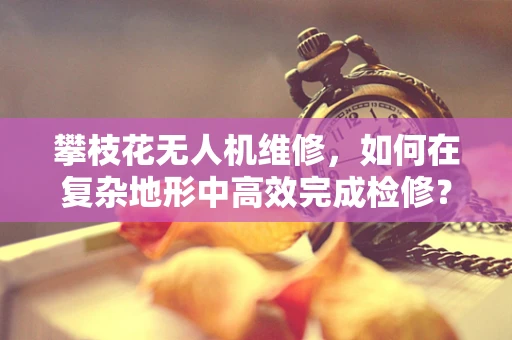 攀枝花无人机维修，如何在复杂地形中高效完成检修？