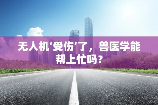 无人机‘受伤’了，兽医学能帮上忙吗？