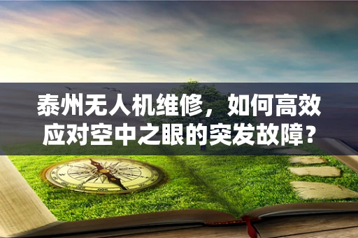 泰州无人机维修，如何高效应对空中之眼的突发故障？