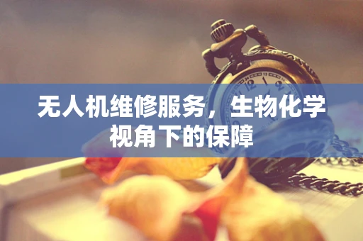 无人机维修服务，生物化学视角下的保障