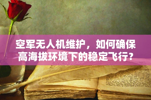 空军无人机维护，如何确保高海拔环境下的稳定飞行？