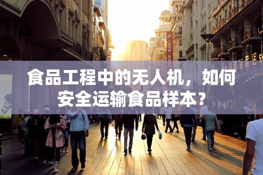 食品工程中的无人机，如何安全运输食品样本？
