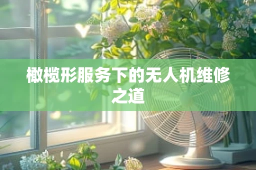 橄榄形服务下的无人机维修之道