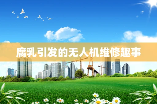 腐乳引发的无人机维修趣事