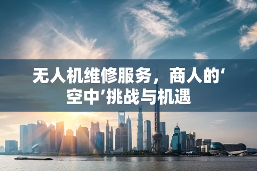 无人机维修服务，商人的‘空中’挑战与机遇