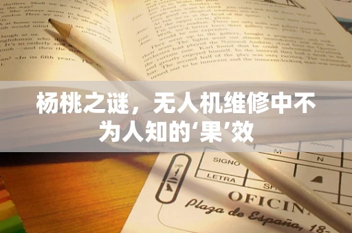 杨桃之谜，无人机维修中不为人知的‘果’效