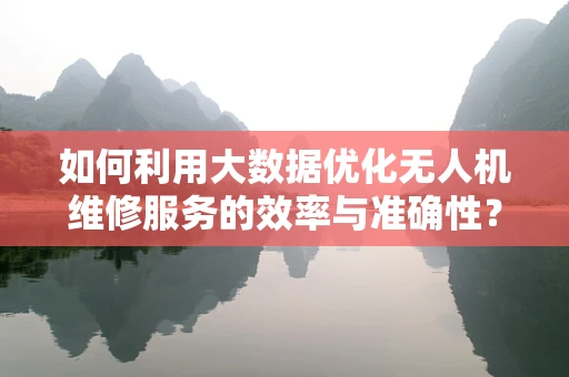 如何利用大数据优化无人机维修服务的效率与准确性？