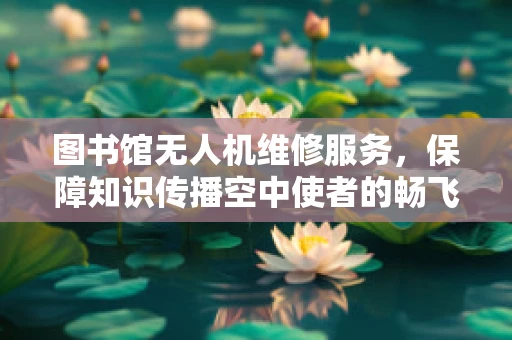 图书馆无人机维修服务，保障知识传播空中使者的畅飞