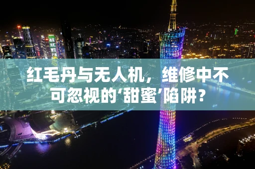 红毛丹与无人机，维修中不可忽视的‘甜蜜’陷阱？