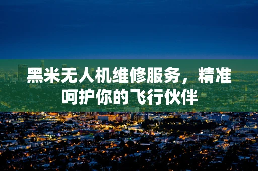 黑米无人机维修服务，精准呵护你的飞行伙伴