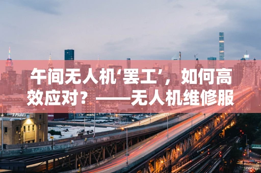 午间无人机‘罢工’，如何高效应对？——无人机维修服务中的时间管理策略