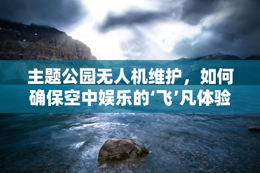 主题公园无人机维护，如何确保空中娱乐的‘飞’凡体验？