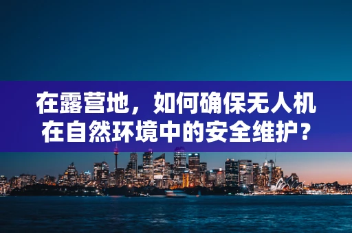 在露营地，如何确保无人机在自然环境中的安全维护？