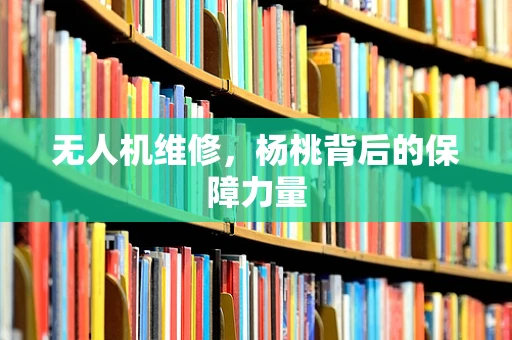 无人机维修，杨桃背后的保障力量