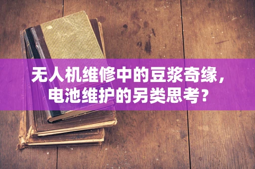无人机维修中的豆浆奇缘，电池维护的另类思考？