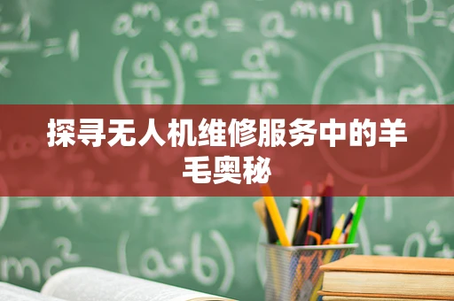 探寻无人机维修服务中的羊毛奥秘