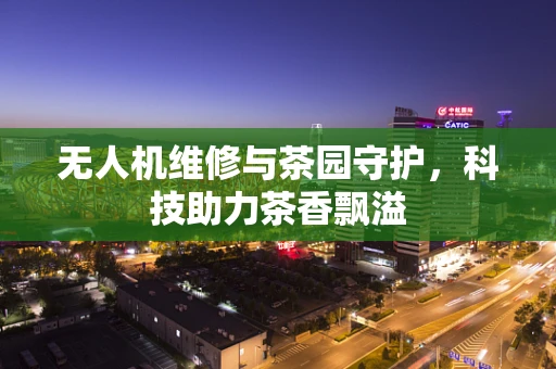 无人机维修与茶园守护，科技助力茶香飘溢