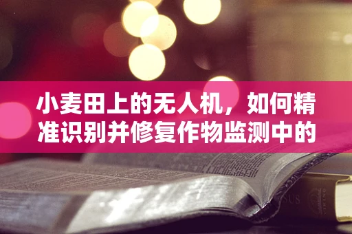 小麦田上的无人机，如何精准识别并修复作物监测中的飞行器故障？